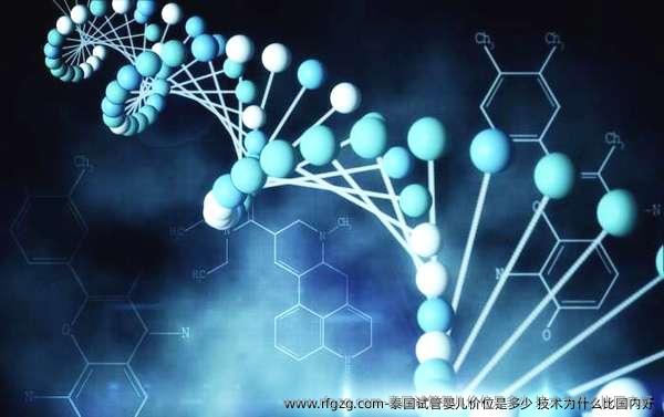 泰国代孕价位是多少 技术为什么比国内好