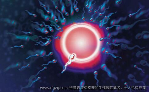 格鲁吉亚受欢迎的生殖医院排名，十大机构推荐