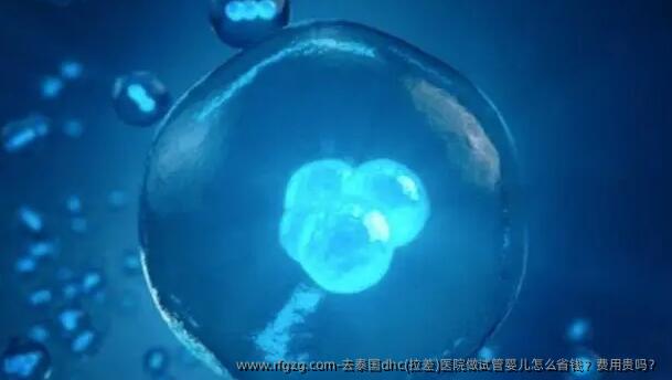 去泰国dhc(拉差)医院做代孕怎么省钱？费用贵吗？