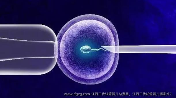江西三代代孕总费用，江西三代代孕哪家好？