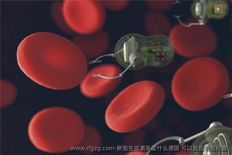 卵泡生成素高是什么原因 可以反应哪些问题