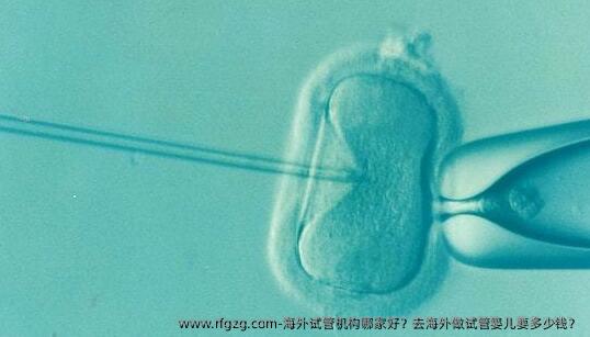 海外试管机构哪家好？去海外做代孕要多少钱？