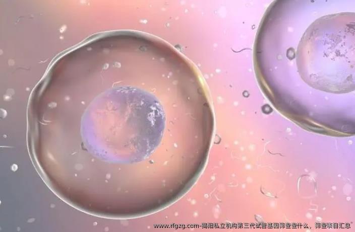 揭阳私立机构第三代试管基因筛查查什么，筛查项目汇总