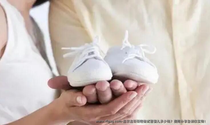 吉尔吉斯斯坦做代孕多少钱？费用分享告诉你实情！