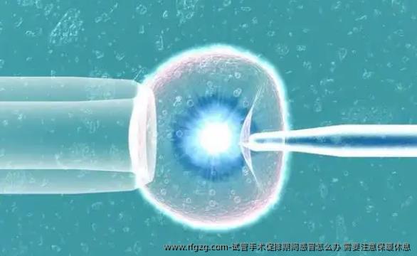 试管手术促排期间感冒怎么办 需要注意保暖休息