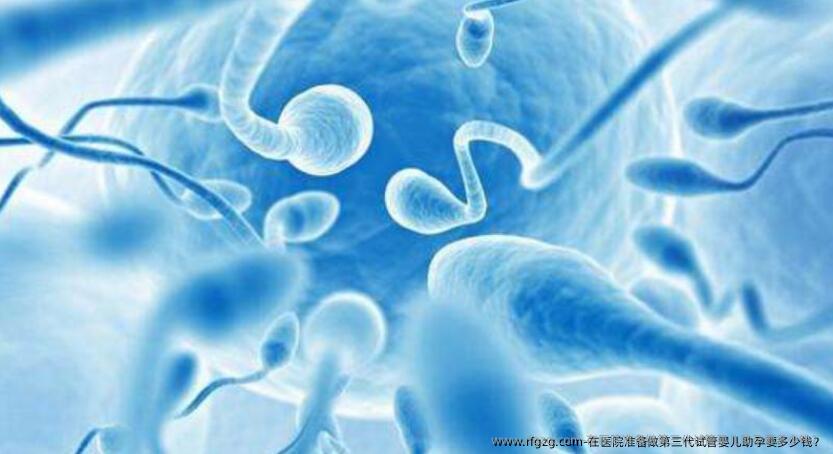 在医院准备做第三代代孕助孕要多少钱？
