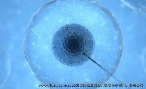 2025去美国做代孕需要多少费用，费用公布