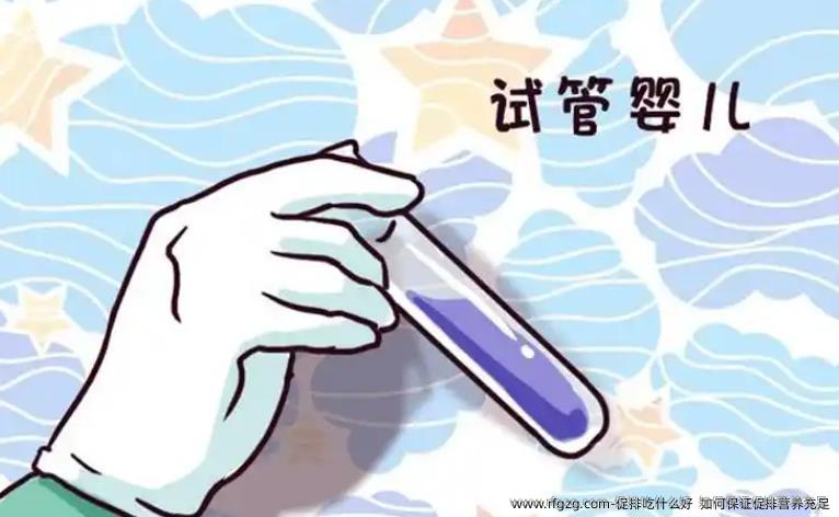 促排吃什么好  如何保证促排营养充足
