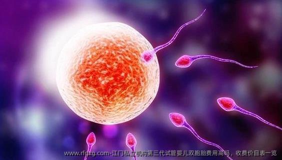 江门私立机构第三代代孕双胞胎费用高吗，收费价目表一览