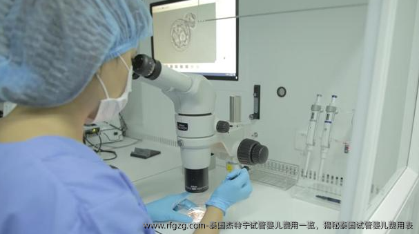 泰国杰特宁代孕费用一览，揭秘泰国代孕费用表