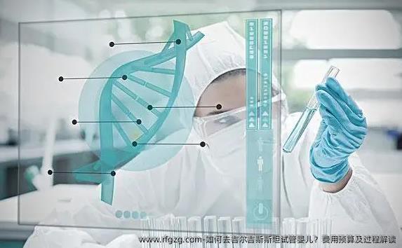 如何去吉尔吉斯斯坦代孕？费用预算及过程解读
