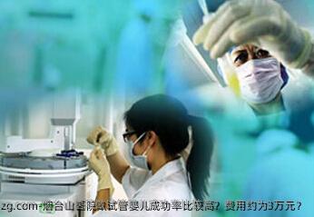 烟台山医院做代孕成功率比较高？费用约为3万元？