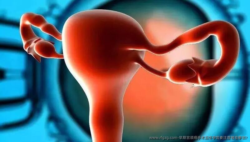 早期宫颈癌手术后怀孕需要注意哪些事项?