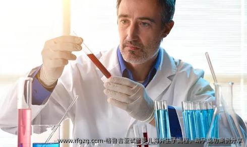 格鲁吉亚代孕海外生子流程，助孕成功案例分享