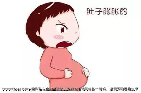 潮州私立机构代孕双胞胎价格和单胎一样嘛，试管双胎费用总览
