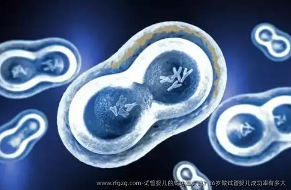 代孕的成功率大吗？36岁做代孕成功率有多大