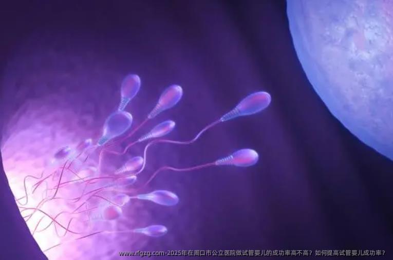 2025年在周口市公立医院做代孕的成功率高不高？如何提高代孕成功率？