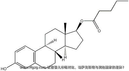 代孕价格对比，哈萨克斯坦与其他国家的差异？ 