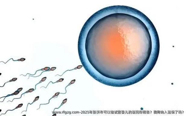 2025年新沂市可以做代孕的医院有哪些？费用纳入医保了吗？